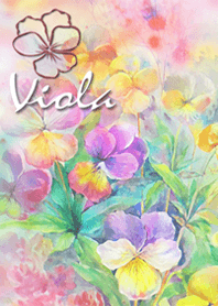 วิโอลา