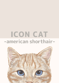 ICON CAT - American Shorthair - BEIGE/04