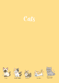 My beloved cat02 brown & yellow JP
