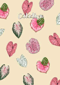 ฉันรักบอนสี ราชินีใบไม้