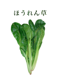Domestic spinach 4