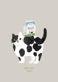Yy's cat black white cat