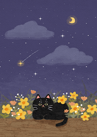 A Black Cat and Yellow Flowers (Night)