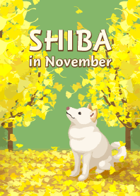 SHIBA in November
