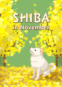 11月の柴犬