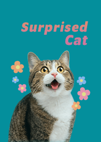 Surprised cat and cute flowers | GREEN