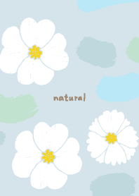 White flowers and paint18 from Japan