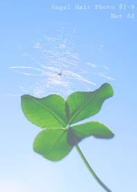Angel Hair Photo#1-9Not AI