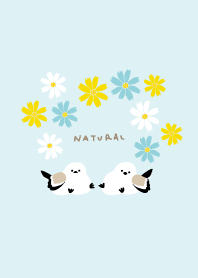 Long-tailed tit, cosmos28 from Japan