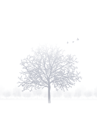 Winter Tree