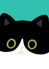 賓士貓與黑貓-薄荷綠