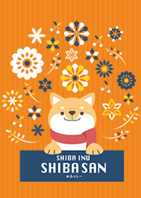SHIBAINU SHIBASAN -orange&navy -