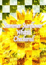 Summer Sunflower Whitin Checkered