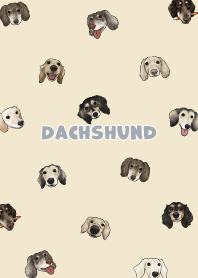 dachshund4 - mist yellow