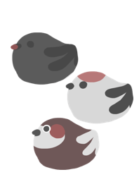 birds brown