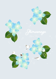 シマエナガのきせかえ