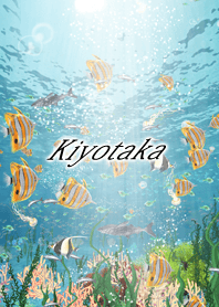 Kiyotaka Coral & tropical fish