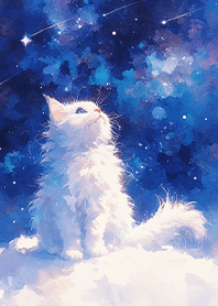 ⭐仰望銀河的藍寶石白貓❤️
