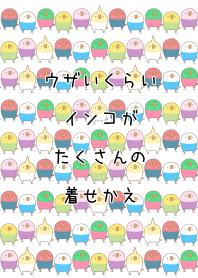ウザいくらいインコがたくさんの着せかえ