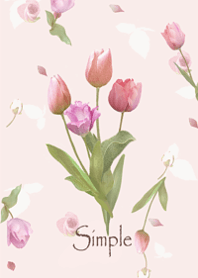 Gentle Tulip11.