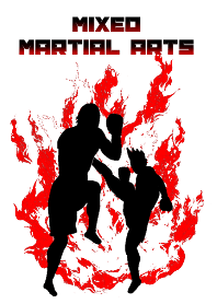 Mixed Martial Arts 総合格闘技