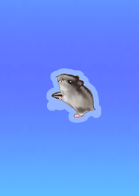 Chibi Hamster Blue