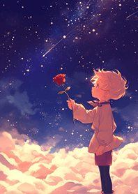 ✨像流星許願の玫瑰小王子❤️