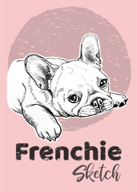 FRENCHIE Sketch (White, Fawn)