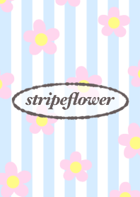 stripeflower