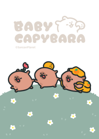 Happy Trip Capybaras 2025 LET'S DRAW