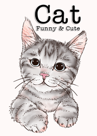 Cats Funny And Cute