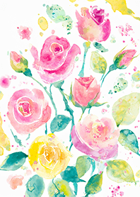 Beautiful rose flower(R4647)