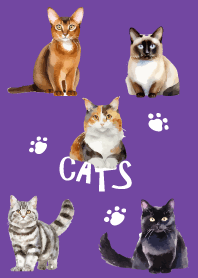 unique cats on purple