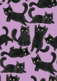 A unique cat11 light purple