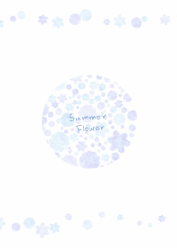 Summer color flowers
