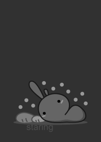 rabbit staring-7