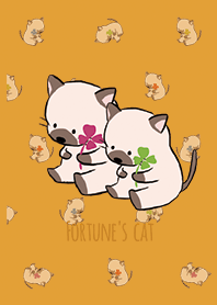 Orange / Fortune's cat