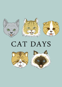 EVERYDAY CAT DAYS