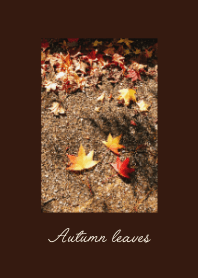 Autumn leaves -紅葉-