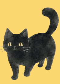 A unique cat04 light yellow