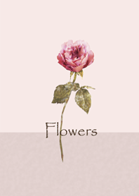 Simple rose1..