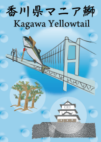 Kagawa Yellowtail