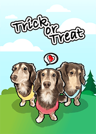 Dachshund century-egg take a stroll