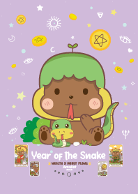 Snake Zodiac - Wealth&Money Flows V