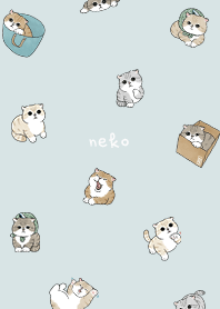 neko combo5 / pale green