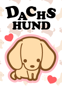 I Love  Dachshund