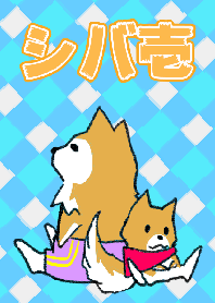 SHIBA-ichi
