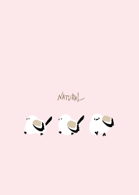 シマエナガ　歩く25