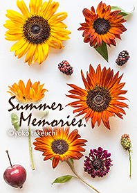 summer memories～夏の思い出～