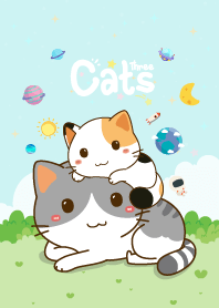 Three Cats Star Blue
